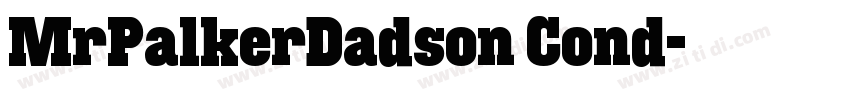 MrPalkerDadson Cond字体转换